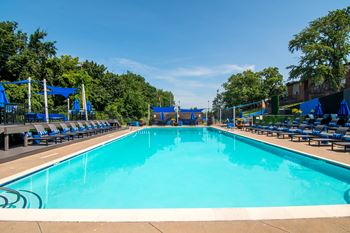 Olympic size swimming pool with sundeck
